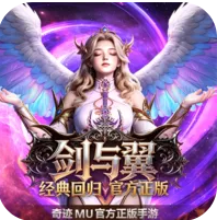 <strong>剑与翼</strong>
